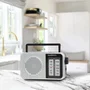 DAEWOO Radio Portátil DW1125 Gris Metalizado